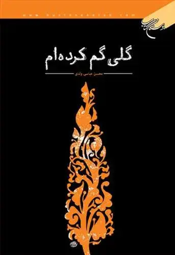 جلد کتاب گلی گم كرده‌ام