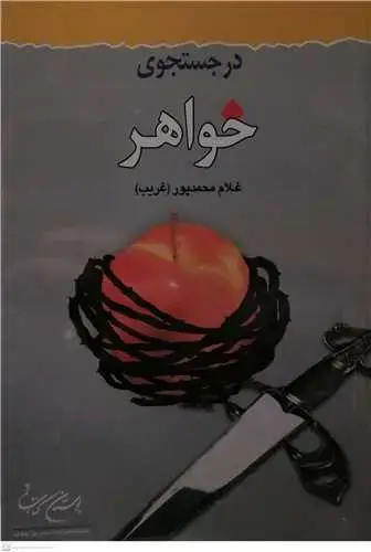 جلد کتاب در جستجوی خواهر