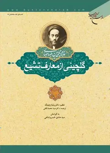 جلد کتاب گلچینی از معارف تشیع