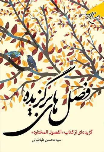 جلد کتاب فصلهای برگزیده: گزیدهای از کتاب الفصول المختاره