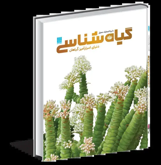 جلد کتاب دایرةالمعارف مصور گیاهشناسی