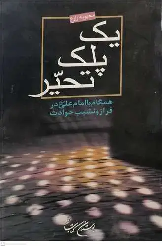 جلد کتاب یک پلک تحیر / همگام با امام علی (ع) در فراز نشیب حوادث/
