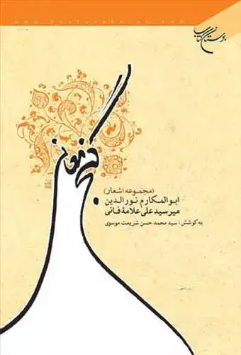 جلد کتاب گنج معانی: مجموعه اشعار: ابوالمکارم نورالدین میرسیدعلی علامه فانی