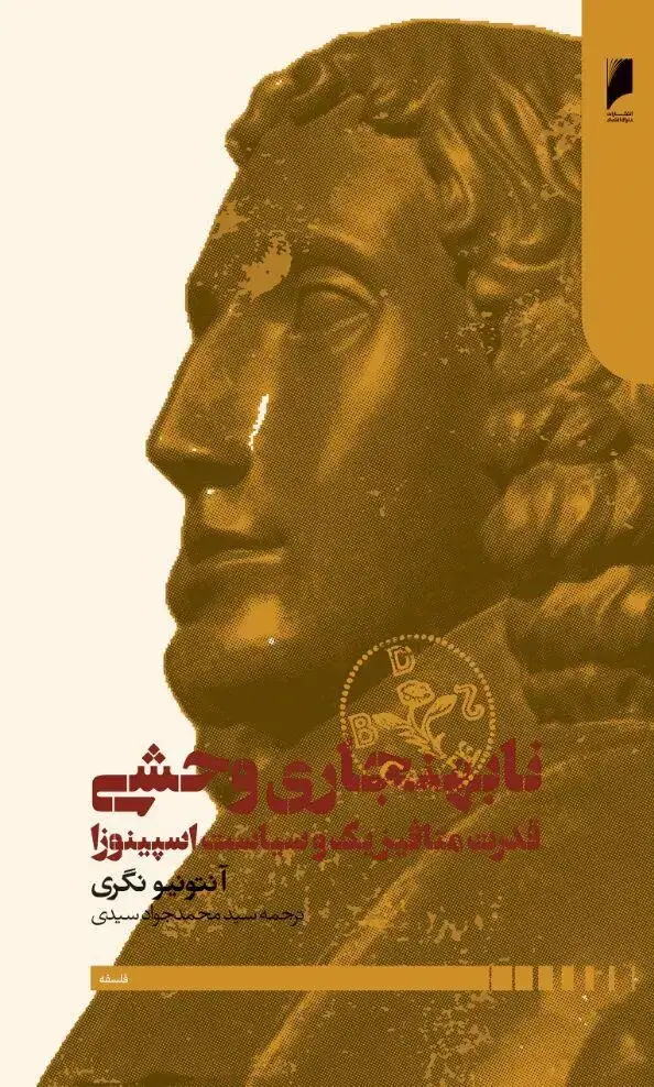 جلد کتاب نابهنجاری وحشی