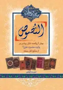 جلد کتاب النصوص ـ بیش از پانصد دلیل روشن بر ولایت حضرت علی علیه السلام