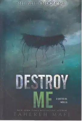 جلد کتاب اورجینال ویرانم کن-destroy me