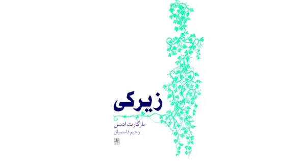جلد کتاب زیرکی