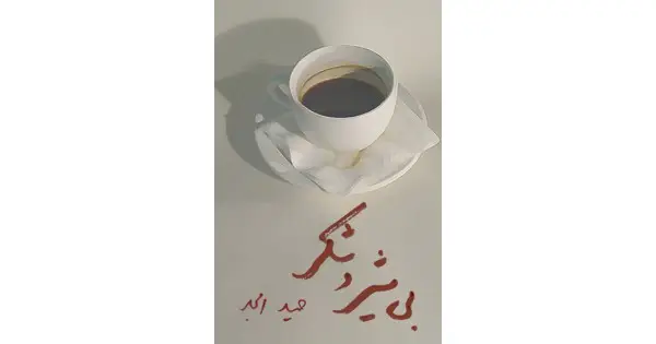 جلد کتاب بی شیر و شکر