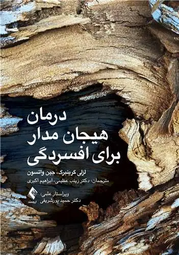 جلد کتاب درمان هیجان مدار برای افسردگی