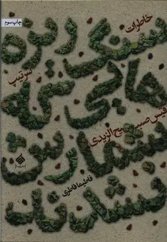 جلد کتاب سنگ ریزهایی که شمارش نشدند