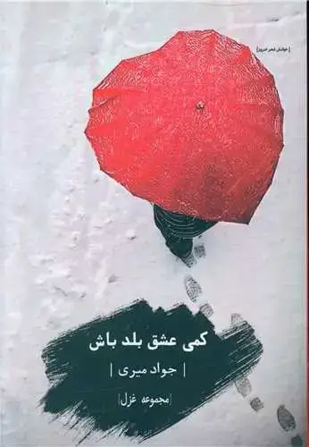 جلد کتاب ‌کمی عشق بلد باش