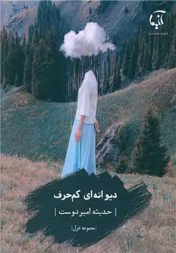 جلد کتاب ‌دیوانه ای کم حرف