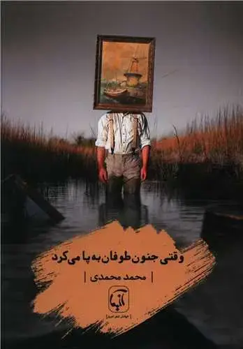 جلد کتاب ‌وقتی جنون طوفان به پا می کرد اثر محمد محمدی