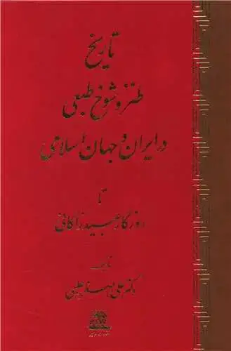 جلد کتاب تاریخ طنز و شوخ طبعی در ایران و جهان اسلامی