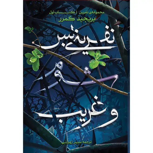 جلد کتاب کتاب نفرینی بس شوم و غریب جلد اول مجموعه نفرینی بس شوم و غریب اثر بریجد کمرر نشر اذرباد