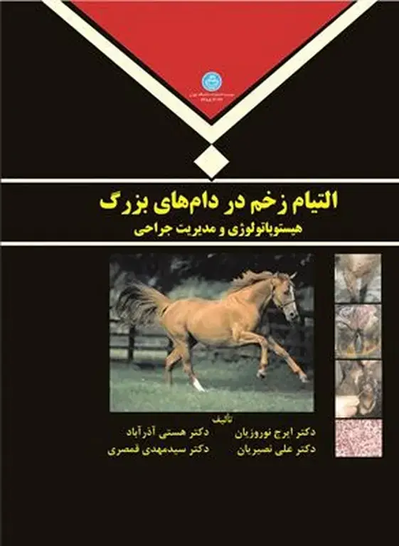 جلد کتاب التیام زخم دردام های بزرگ (هیستوپاتولوژیومدیریت جراحی)