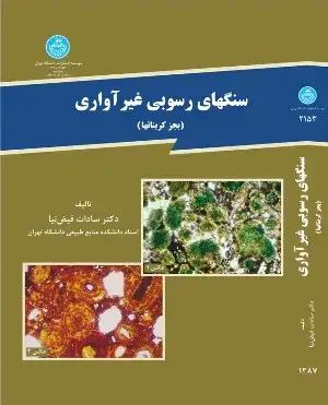 جلد کتاب سنگهای رسوبی غیر آواری
