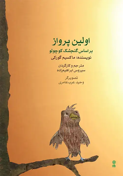 جلد کتاب اولین پرواز