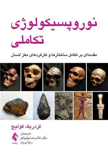 جلد کتاب نوروپسیکولوژی تکاملی مقدمه‌ای بر تکامل ساختارها و کارکردهای مغز انسان