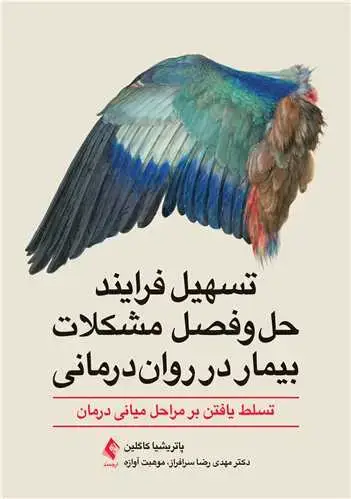 جلد کتاب تسهیل فرایند حلوفصل مشکلات بیمار در رواندرمانی تسلط یافتن بر مراحل میانی درمان