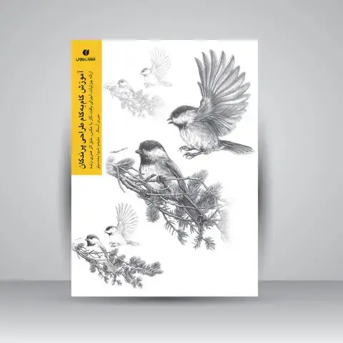 جلد کتاب کتاب آموزش گام به گام طراحی پرندگان اثر موری آسِنگ (انتشارات یساولی)