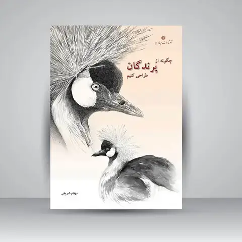 جلد کتاب کتاب چگونه از پرندگان طراحی کنیم (انتشارات یساولی)