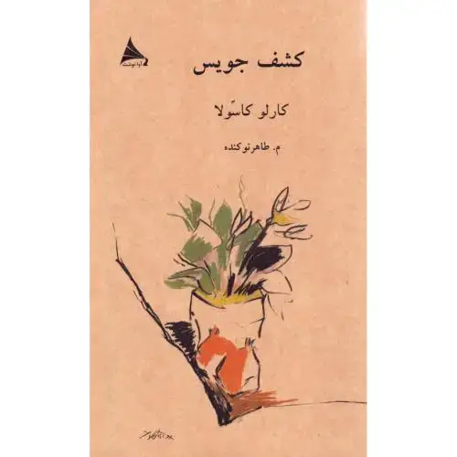 جلد کتاب کشف جویس