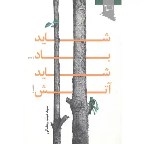 جلد کتاب شاید باد شاید آتش