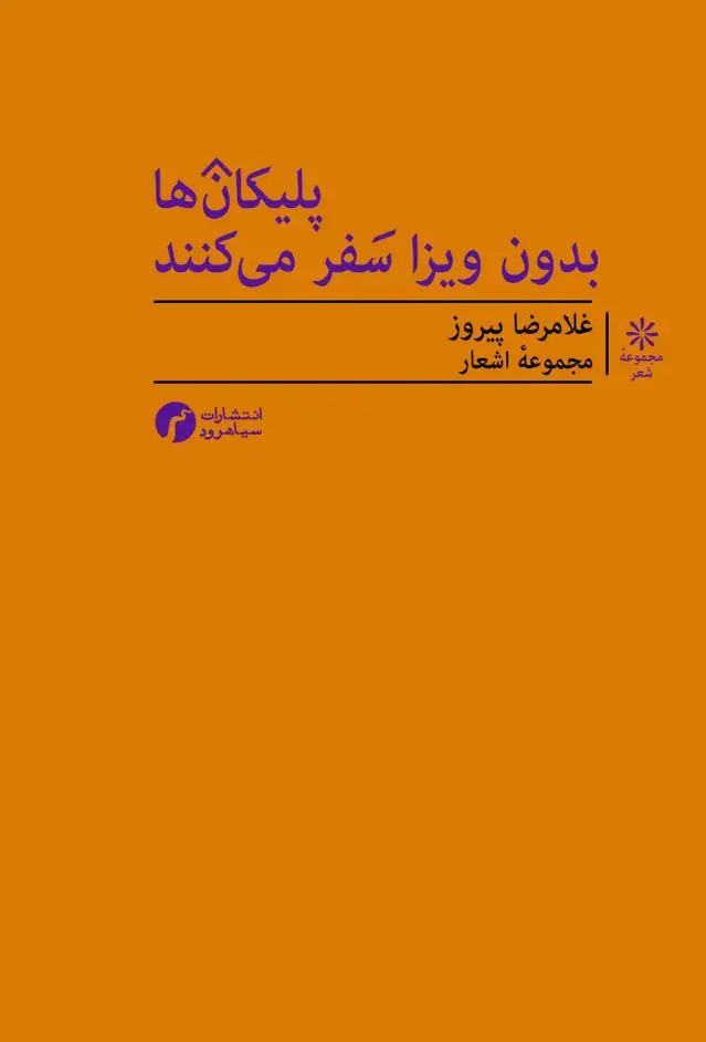 جلد کتاب پلیکان های بدون ویزا پرواز می کنند (مجموعهٔ اشعار)