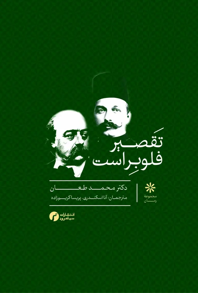جلد کتاب تقصیر فلوبر است
