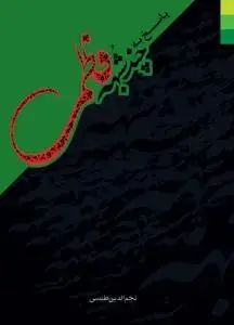 جلد کتاب پاسخ به چند شبهه فاطمی
