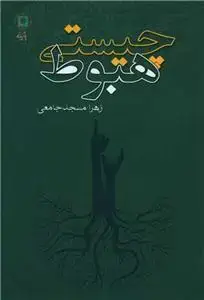 جلد کتاب چیستی هبوط