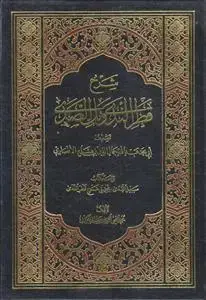 جلد کتاب شرح قطر الندی و بل الصدی جدید