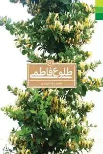 جلد کتاب طلوع فاطمی