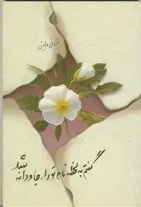 جلد کتاب گفتم به لحظه نام تو را جاودانه شد