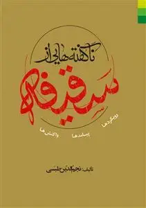 جلد کتاب ناگفته هایی از سقیفه (رویکرد ها، پیامدها و واکنش ها)