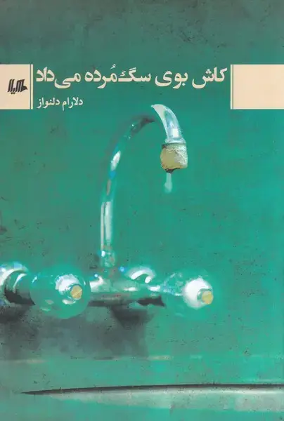 جلد کتاب کاش بوی سگ مرده می‌داد (هیلا)