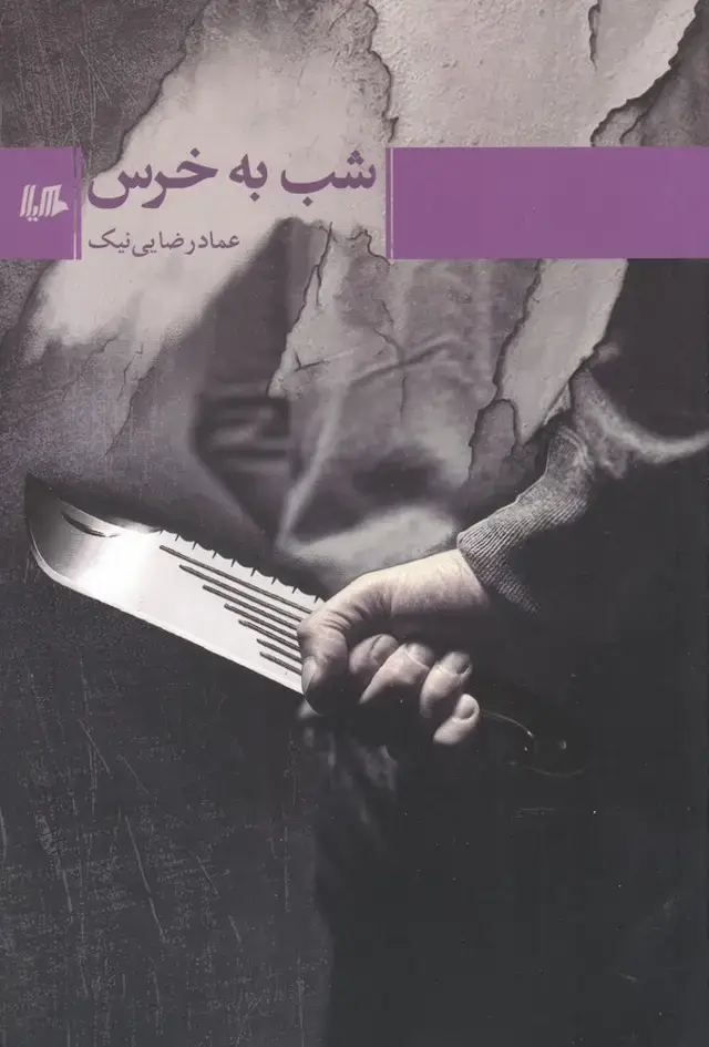 جلد کتاب شب به خرس (هیلا)
