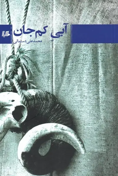 جلد کتاب آبی کم جان (هیلا)