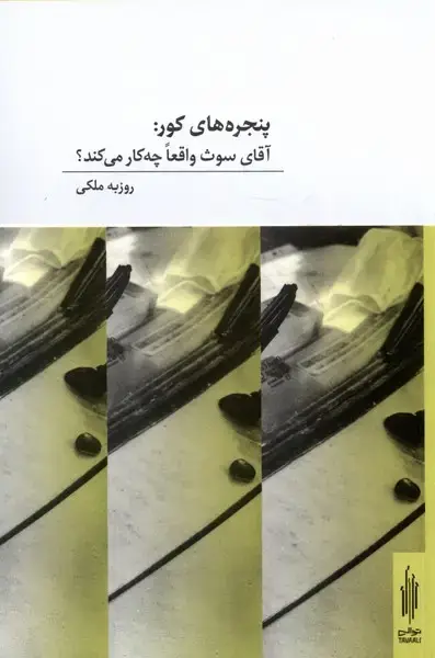 جلد کتاب پنجرههای کور (آقایسوثواقعاچهکارمیکند) توالی