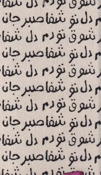 جلد کتاب تقویم پالتویی 1404 (جاندل) حوضنقره