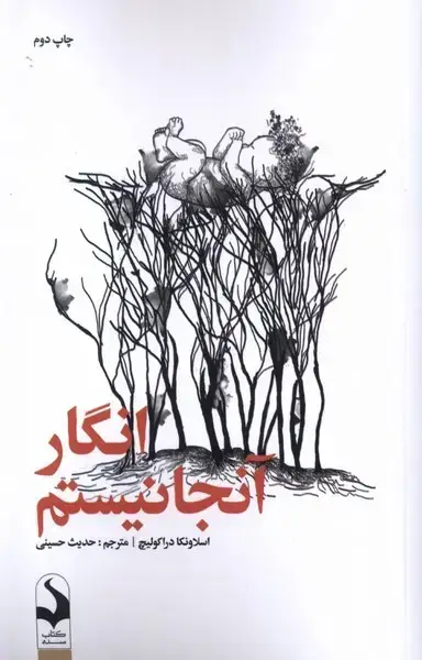 جلد کتاب انگار آنجا نیستم (کتابسده)