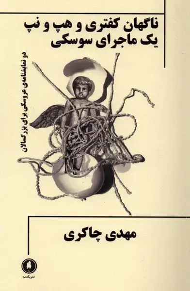 جلد کتاب ناگهان کفتری و هپ و نپ یک ماجرای سوسکی (یکشنبه)