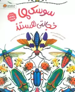 جلد کتاب جنگ و صلح (گلاسه)