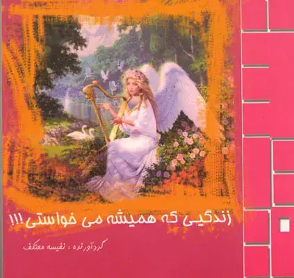 جلد کتاب زندگیی که همیشه می خواستی