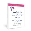 جلد کتاب چرا زنان باهوش در انتخاب همسر احمقانه عمل می کنند