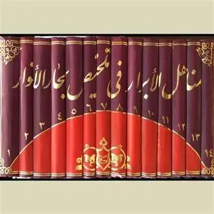 جلد کتاب مناهل الابرار فی تلخیص بحار الانوار - 14 جلدی اثر محقق:حسین درگاهی