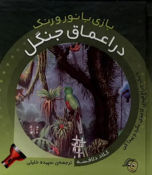 جلد کتاب بازی با نور و رنگ (دراعماق‌جنگل) پیام‌مشرق