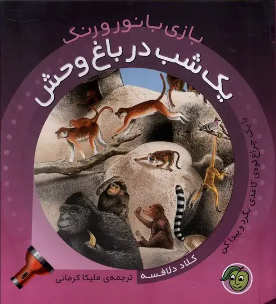 جلد کتاب بازی با نور و رنگ (یک‌شب‌درباغ‌وحش) پیام‌مشرق