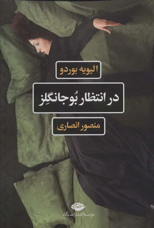 جلد کتاب در انتظار بوجانگلز